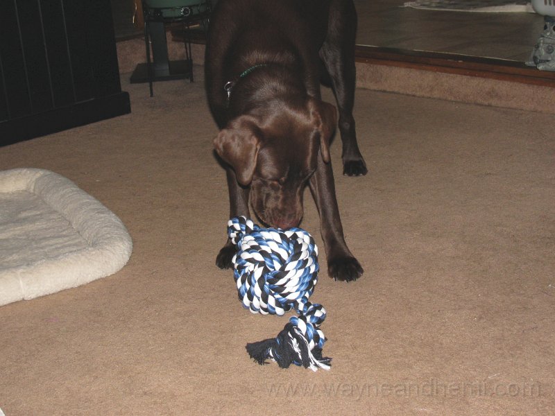 2009_08_04 Hemi_0571.JPG